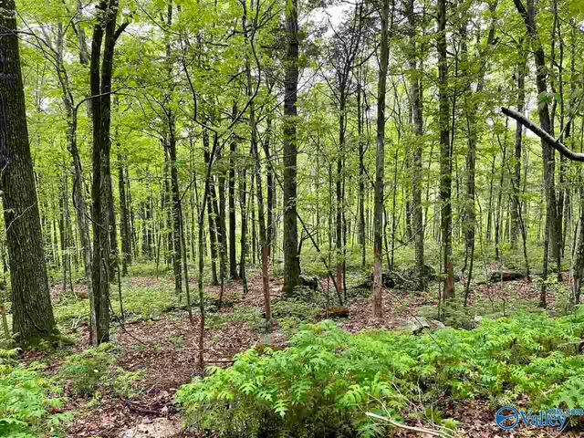 72.77 acres County Lake Road, Gurley, AL 35748