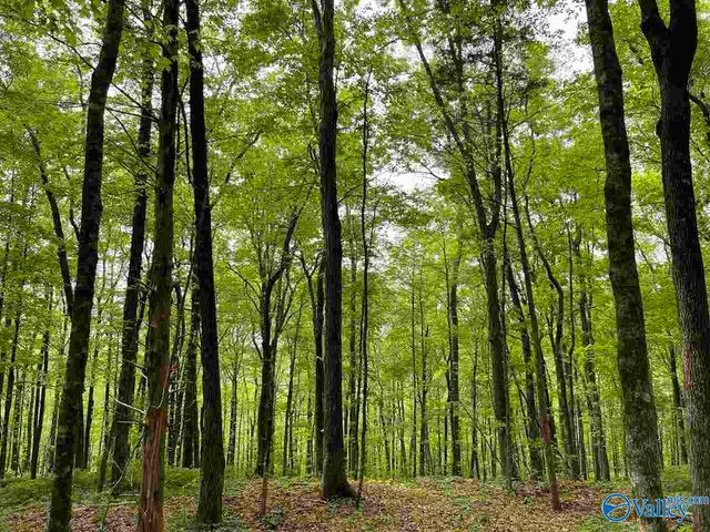 72.77 acres County Lake Road, Gurley, AL 35748