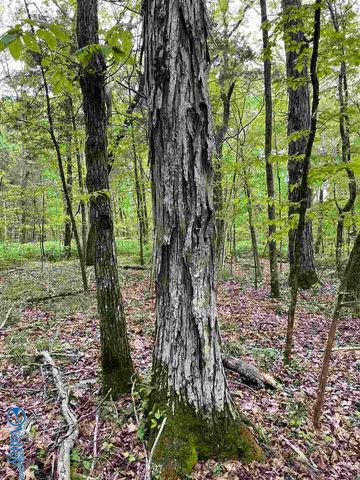 72.77 acres County Lake Road, Gurley, AL 35748