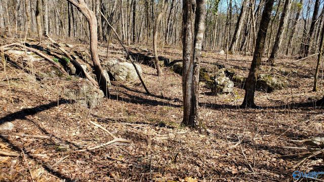 72.77 acres County Lake Road, Gurley, AL 35748