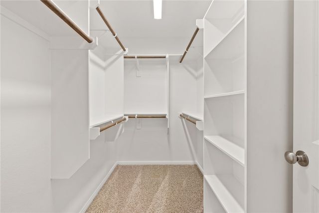 6203 Southern Cross Drive, College Station, TX 77845