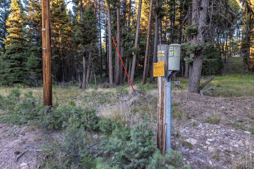 412 Glacier Drive, Seeley Lake, MT 59868 photo 2