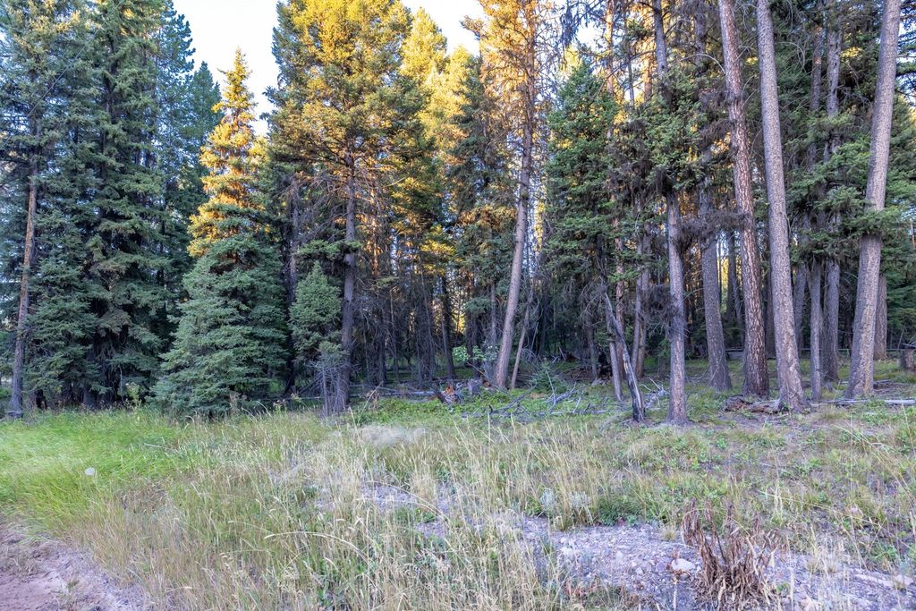 412 Glacier Drive, Seeley Lake, MT 59868 photo 3