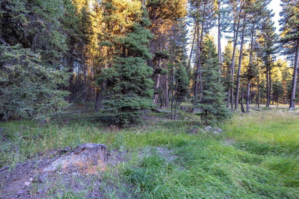 412 Glacier Drive, Seeley Lake, MT 59868 photo 4