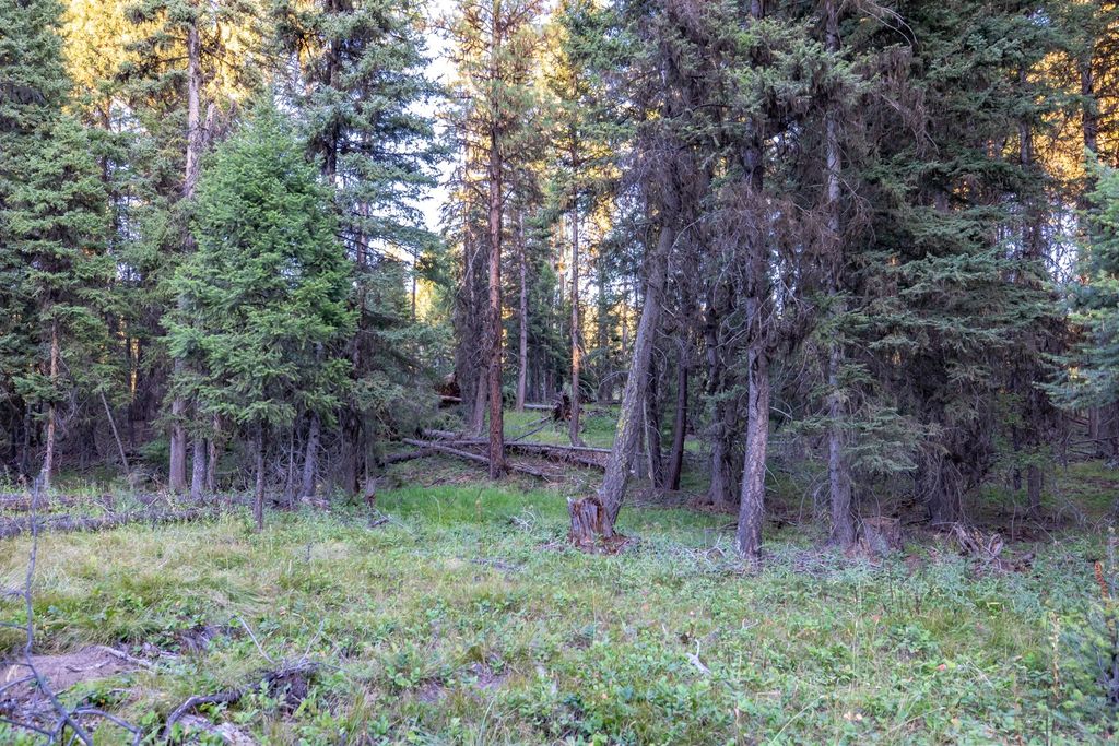 412 Glacier Drive, Seeley Lake, MT 59868 photo 5