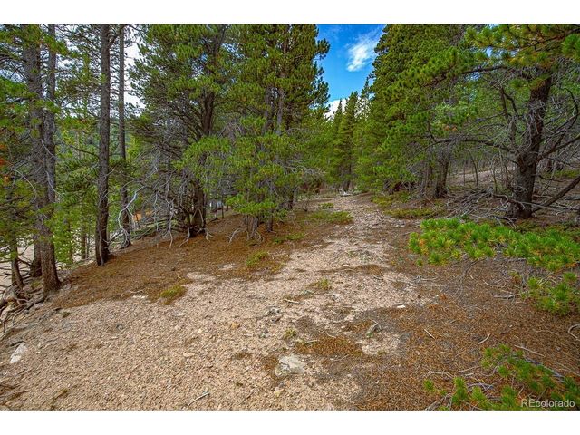 836 Nebraska Dr, Idaho Springs, CO 80452