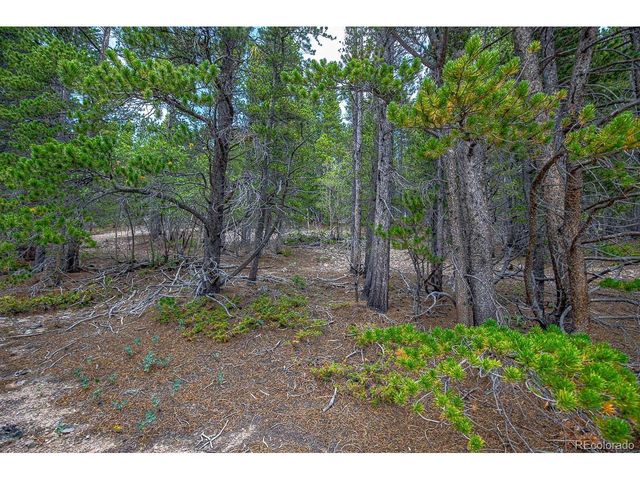 836 Nebraska Dr, Idaho Springs, CO 80452