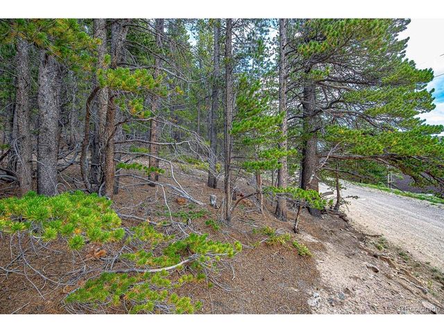 836 Nebraska Dr, Idaho Springs, CO 80452