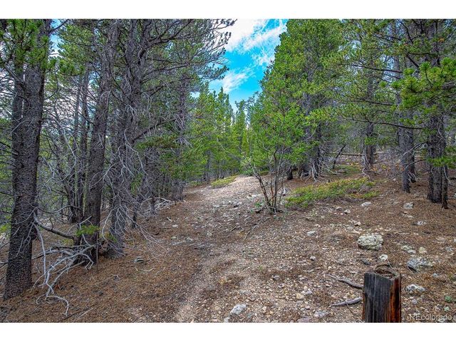 836 Nebraska Dr, Idaho Springs, CO 80452