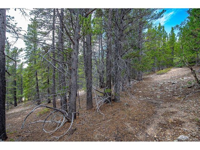 836 Nebraska Dr, Idaho Springs, CO 80452