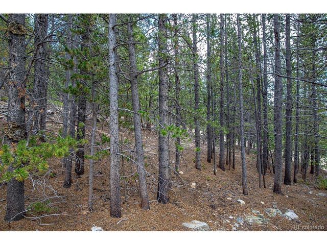 836 Nebraska Dr, Idaho Springs, CO 80452