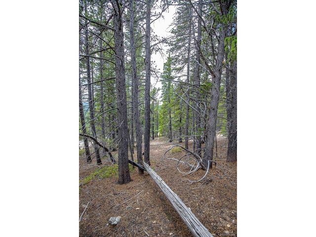 836 Nebraska Dr, Idaho Springs, CO 80452