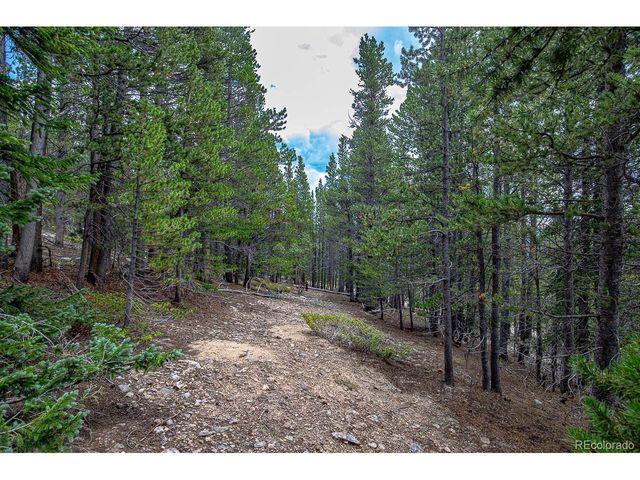 836 Nebraska Dr, Idaho Springs, CO 80452