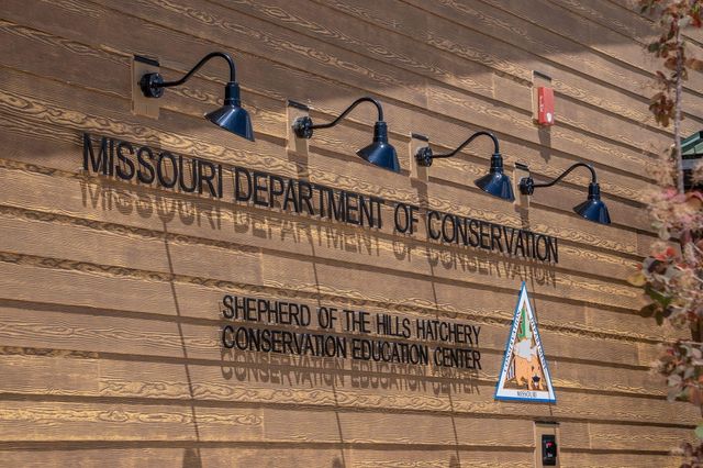 710 Fall Creek Drive 2, Branson, MO 65616