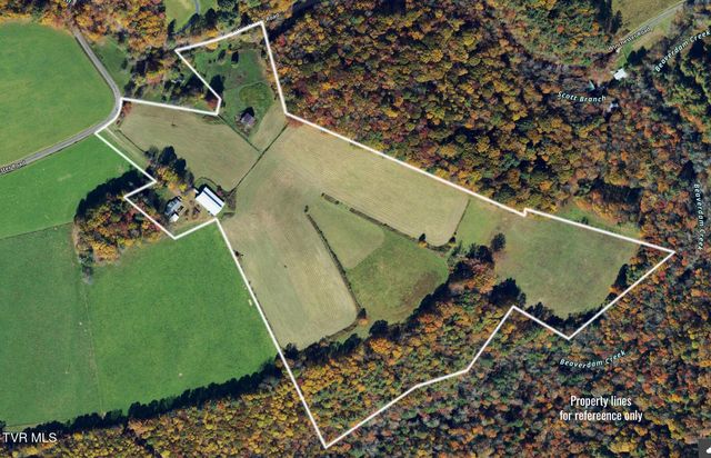 1602 Winchester Road, Shady Valley, TN 37688