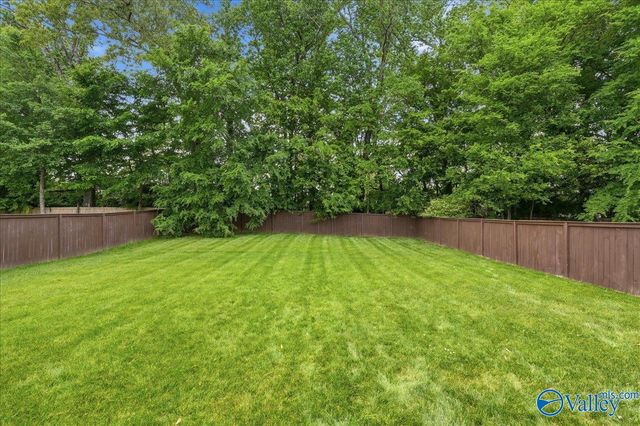 282 Falcon Ridge Drive, New Market, AL 35761