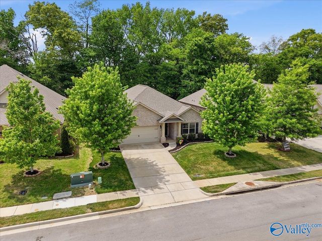282 Falcon Ridge Drive, New Market, AL 35761