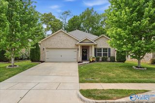282 Falcon Ridge Drive, New Market, AL 35761