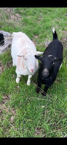 1360 Oxyoke Road, Grants Pass, OR 97526