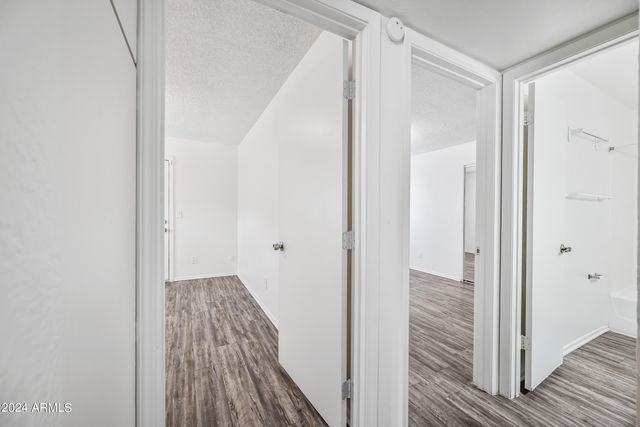 436 W Clark Street Apt 101, Mesa, AZ 85201