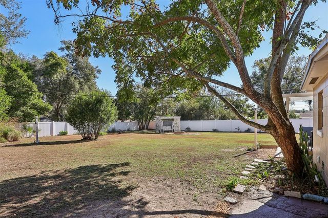 1111 N PALMETTO CIRCLE, Eustis, FL 32726