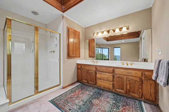 16150 Pinewood Dr, Pioneer, CA 95666