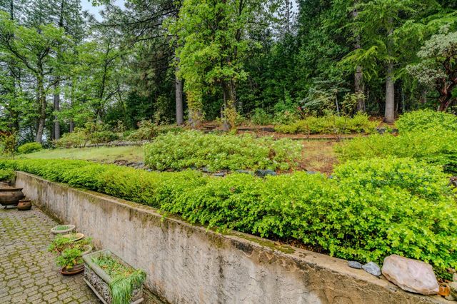 16150 Pinewood Dr, Pioneer, CA 95666