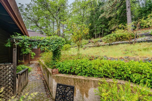 16150 Pinewood Dr, Pioneer, CA 95666