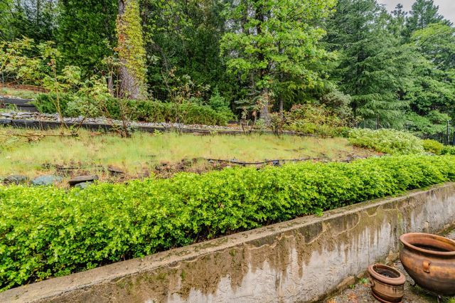 16150 Pinewood Dr, Pioneer, CA 95666