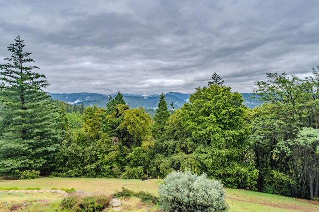 16150 Pinewood Dr, Pioneer, CA 95666