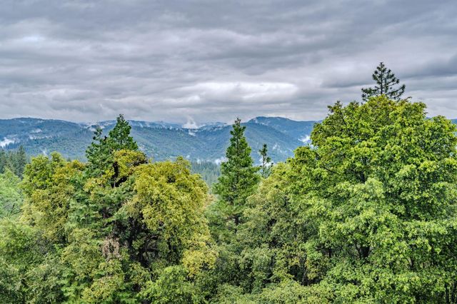 16150 Pinewood Dr, Pioneer, CA 95666