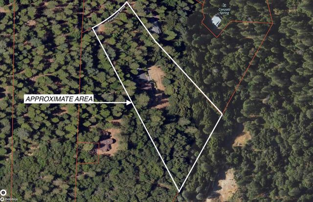 16150 Pinewood Dr, Pioneer, CA 95666