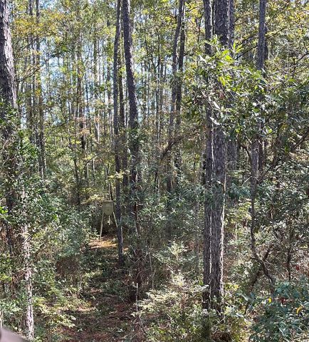 9168 Old Georgetown Road, Mcclellanville, SC 29458