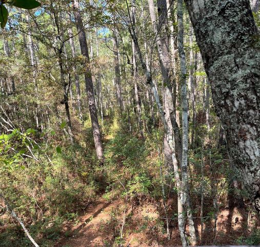 9168 Old Georgetown Road, Mcclellanville, SC 29458