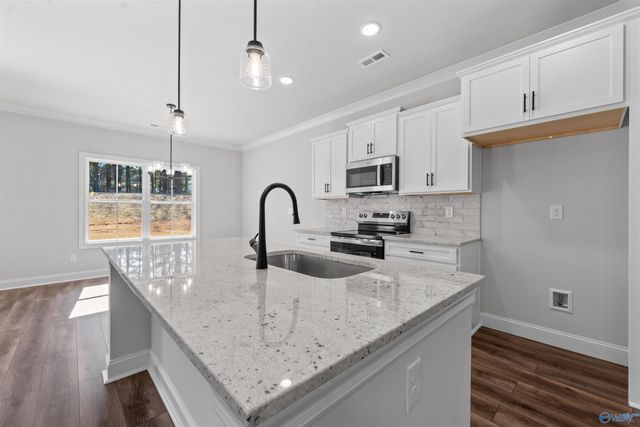 120 Alton Dale Drive, Toney, AL 35773