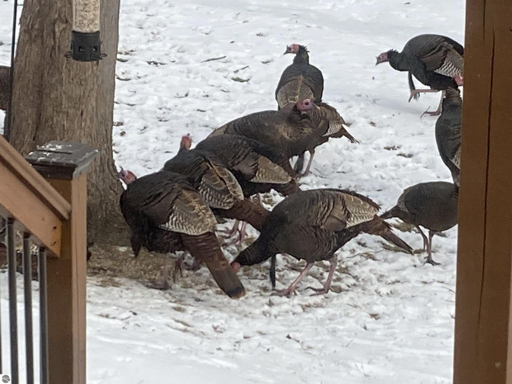 Image 65 of property listing at 3400 N Sturgeon Road, Midland, MI 48640