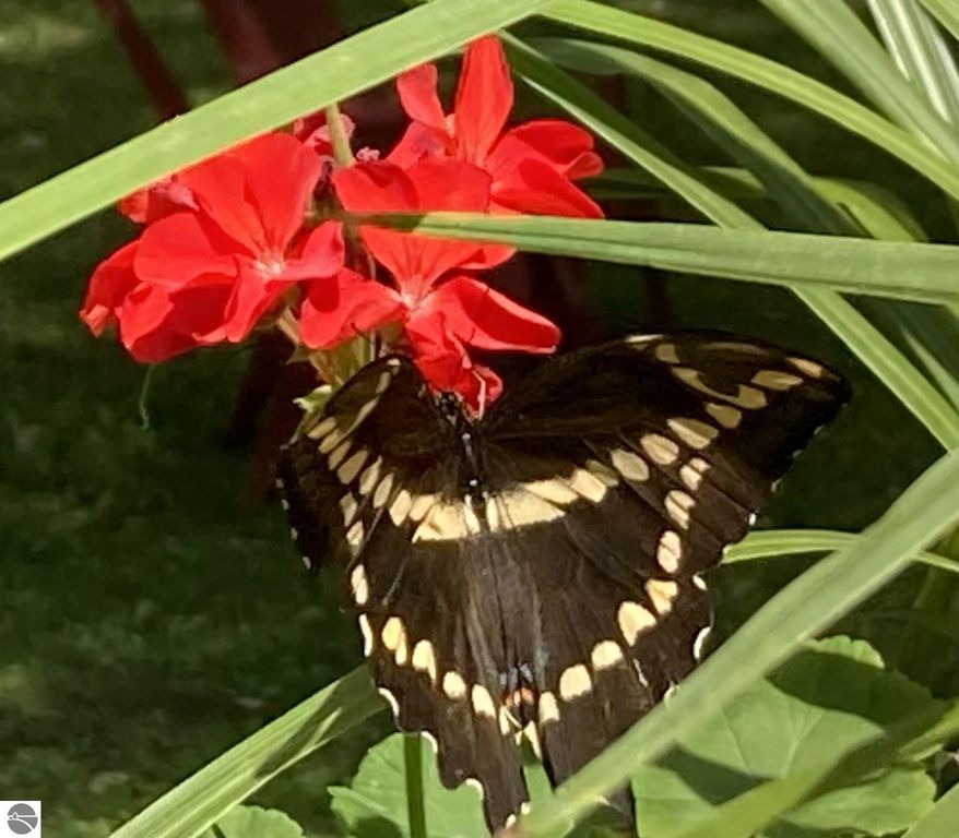 Image 67 of property listing at 3400 N Sturgeon Road, Midland, MI 48640