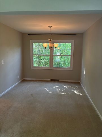 1613 CLYDE Drive, Naperville, IL 60565