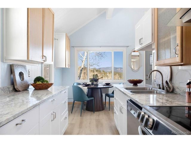 560 S Pine Dr, Bailey, CO 80421