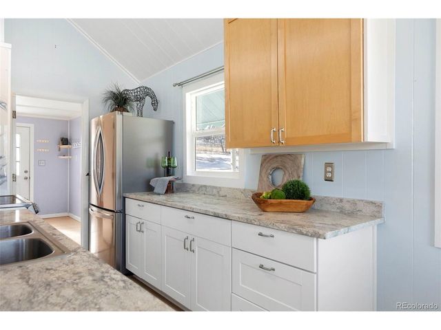 560 S Pine Dr, Bailey, CO 80421