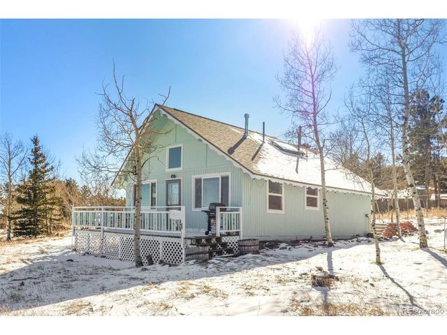 560 S Pine Dr, Bailey, CO 80421