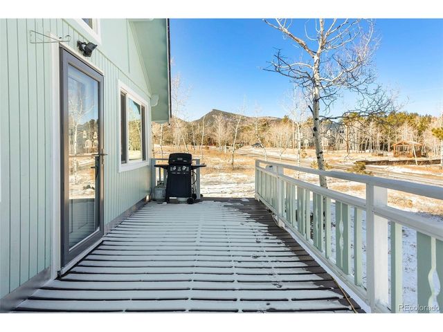 560 S Pine Dr, Bailey, CO 80421