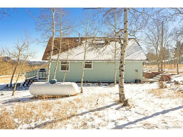560 S Pine Dr, Bailey, CO 80421