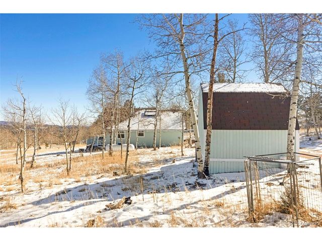 560 S Pine Dr, Bailey, CO 80421