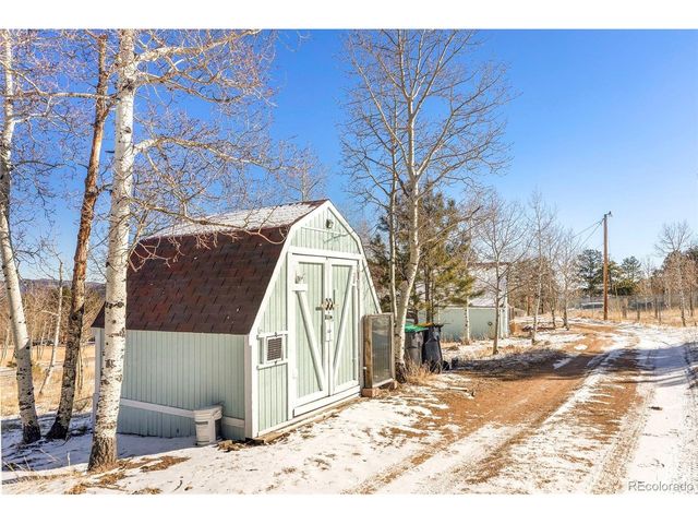 560 S Pine Dr, Bailey, CO 80421