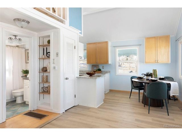 560 S Pine Dr, Bailey, CO 80421