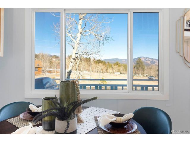 560 S Pine Dr, Bailey, CO 80421