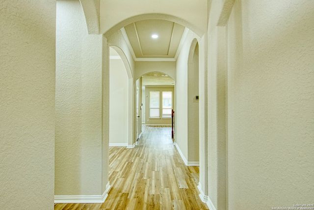12902 Gypsophila, San Antonio, TX 78253
