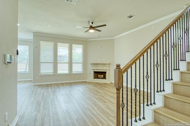 12902 Gypsophila, San Antonio, TX 78253