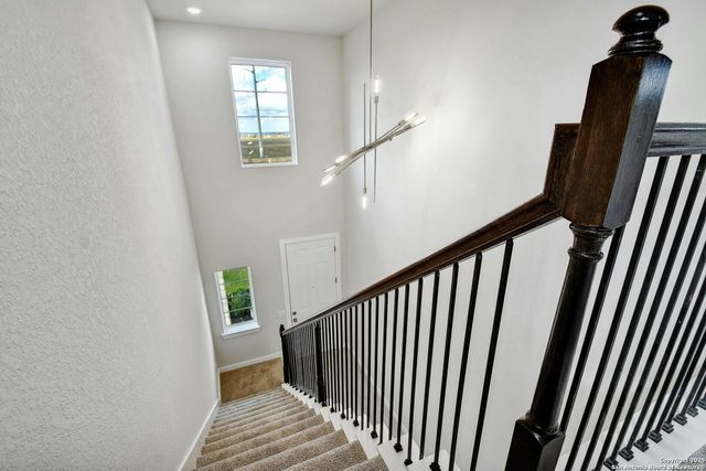 1592 Estelea Grove, New Braunfels, TX 78130